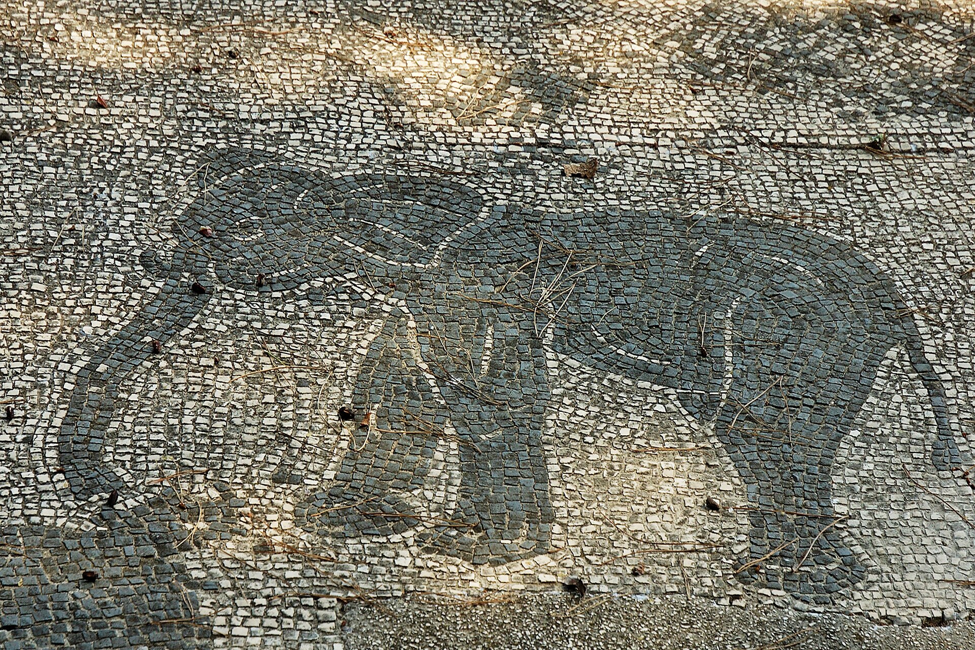 Mosaico di un elefante in tessere grigie
